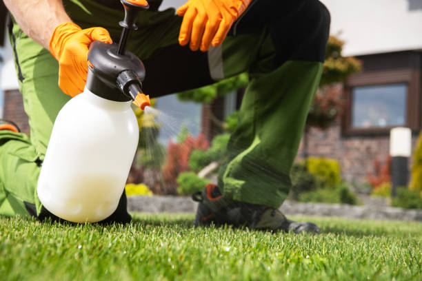 Best Best Pest Control Companies  in Floral Park, NY