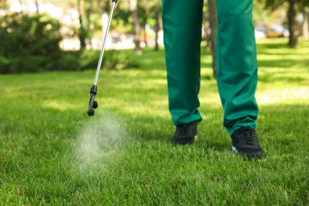 Best Spider Control Near Me  in Floral Park, NY