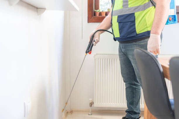Best Wasp Removal Services  in Floral Park, NY