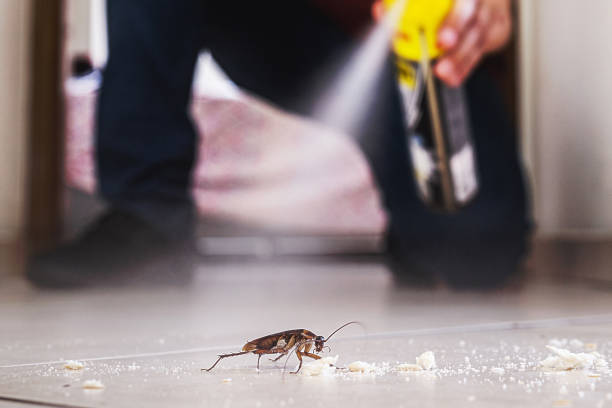 Best Flea Control Services  in Floral Park, NY